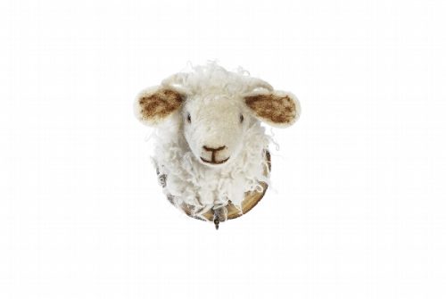 trophée crochet mouton blanc