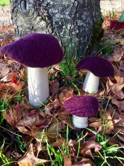 champignons en feutre couleur aubergine